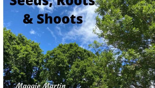 Seeds, Roots & Shoots
